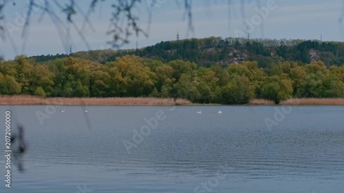 spring nature on the banks of the Dniester