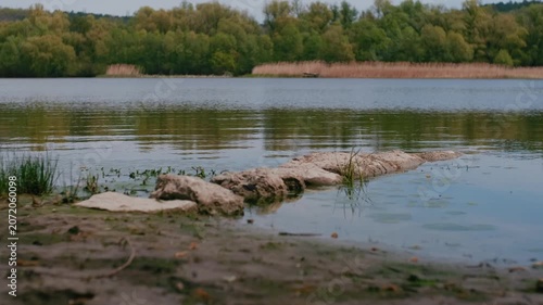 spring nature on the banks of the Dniester