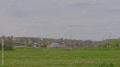 spring nature on the banks of the Dniester