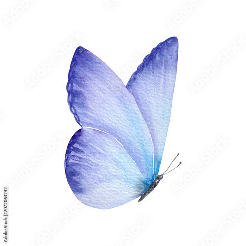 Watercolor blue butterfly wing isolated on white. Delicate summer clipart for nature decor, dreamy design, and seasonal graphics