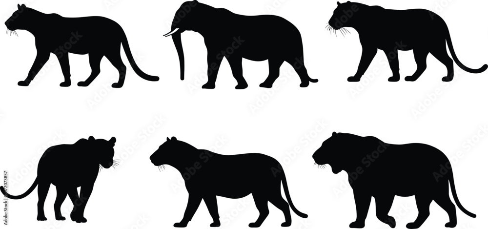 Obraz premium Wild tiger and elephant silhouettes collection, jungle wildlife vector design, majestic animal shapes, safari nature illustration for graphic artwork