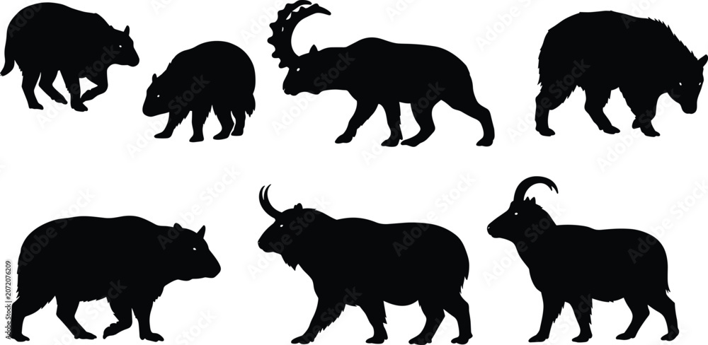 Obraz premium Wild animal silhouettes collection isolated on white background, black mammal shapes vector set, wildlife illustration, nature animal design elements