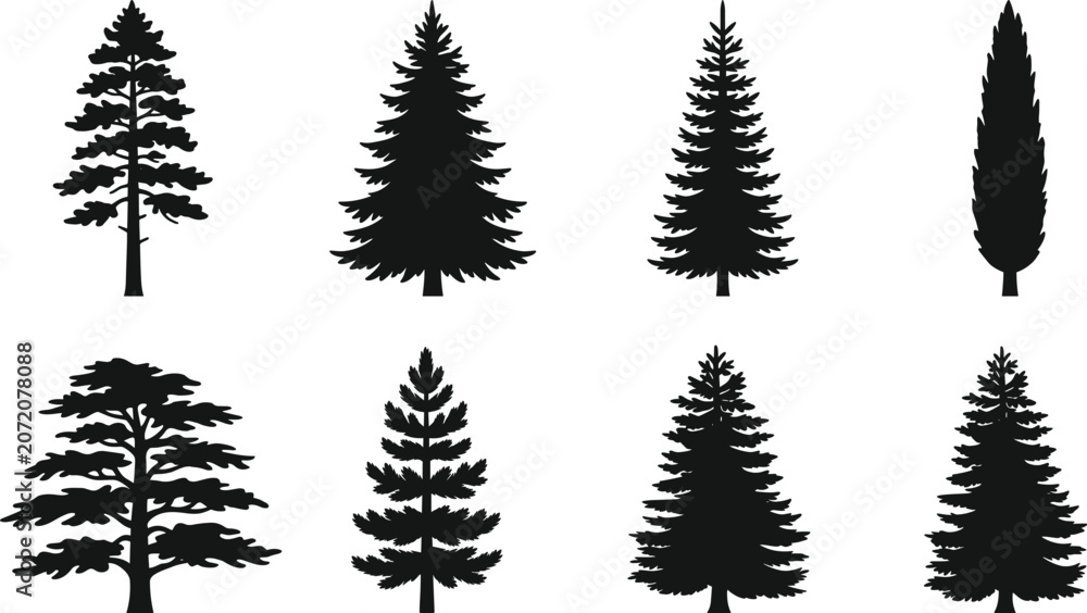 Obraz premium Evergreen Conifer Tree Silhouette Collection with Pine Fir and Cypress Trees