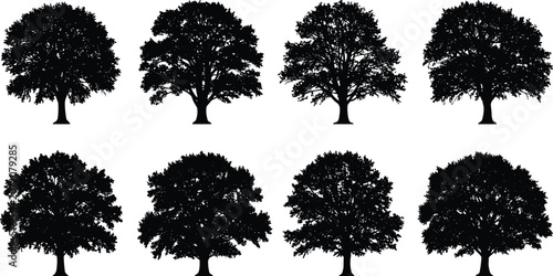 Black tree silhouette collection isolated on white background, detailed forest oak tree shapes, vector illustration for landscape, nature, and environment design