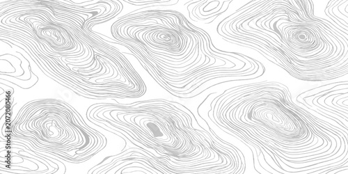 Cuadro en lienzo Topographic map contour lines elevation pattern background with topographic elev