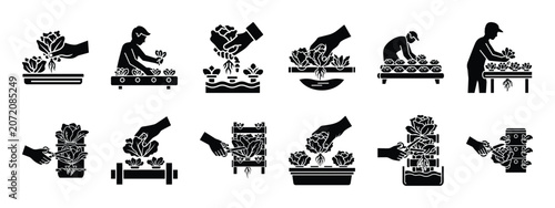 Obraz na płótnie hydroponic lettuce harvesting icon set, black color and white background