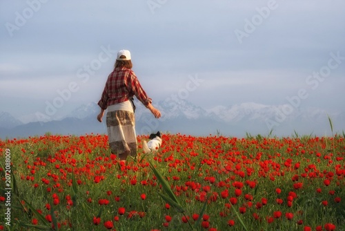 A woman walking with a dog in a blooming red poppy field with snowy mountains in the background. Commercial travel concept image suitable for lifestyle, outdoor adventure, and advertising backgrounds.