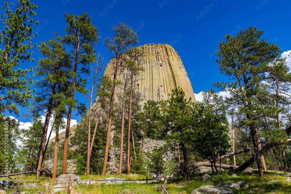 Obraz premium Close Up View of Devils Tower on a Summer Day