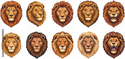 Set of ten realistic lion portraits showcasing various expressions and mane styles on clean transparent isolated background.
