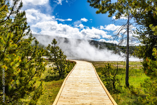 Canvastavla Scenic view of Grotto Geyser Yellowstone