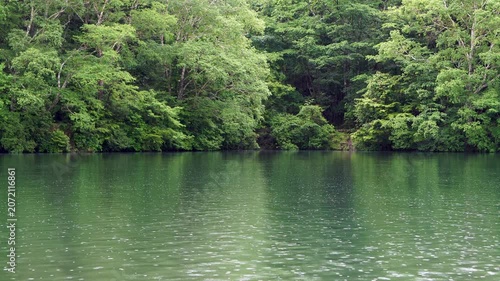 雨の奥日光・新緑に囲まれた湯ノ湖の景色