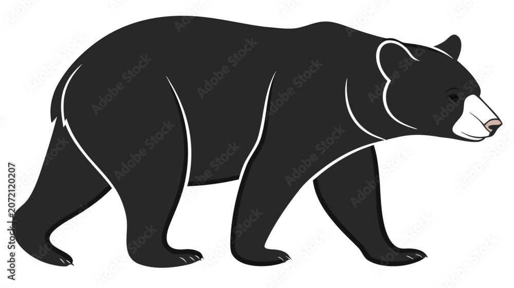 Fototapeta premium Vector illustration illustration of a black bear walking, side view