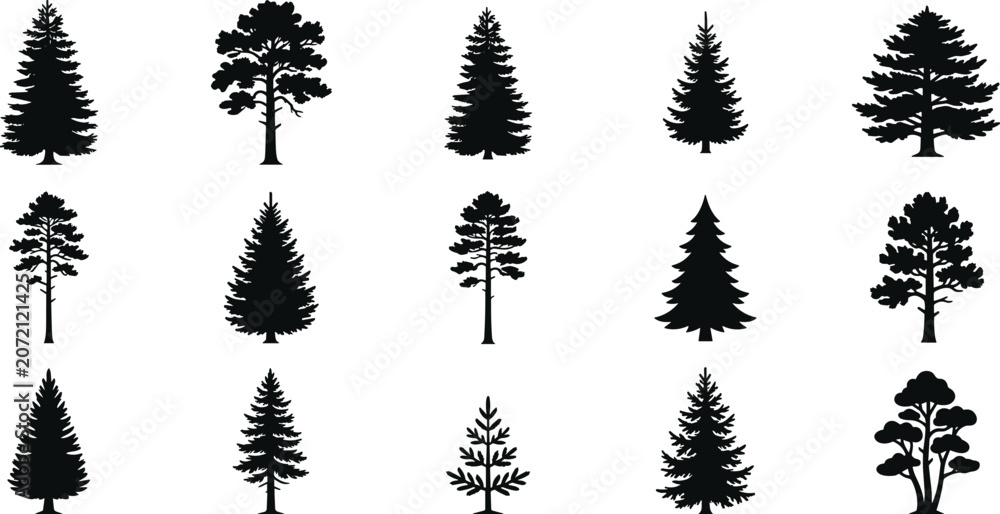 Obraz premium Black silhouettes of various pine trees on white background, tree silhouettes black, and white black and white