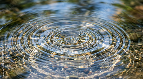 Water drop ripples, concentric circles texture, forest pond reflection, and peaceful surface photo.