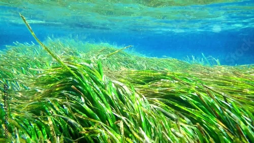Light filtering down through blue water. Underwater sunlight in deep sea. Light viewed from blue abyss. Underwater sunlight shining deep with ripples on wave surface ocean ray, Under water Slow motion