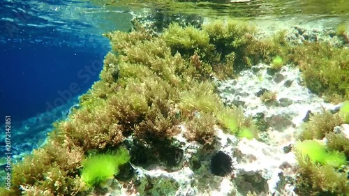 Light filtering down through blue water. Underwater sunlight in deep sea. Light viewed from blue abyss. Underwater sunlight shining deep with ripples on wave surface ocean ray, Under water Slow motion