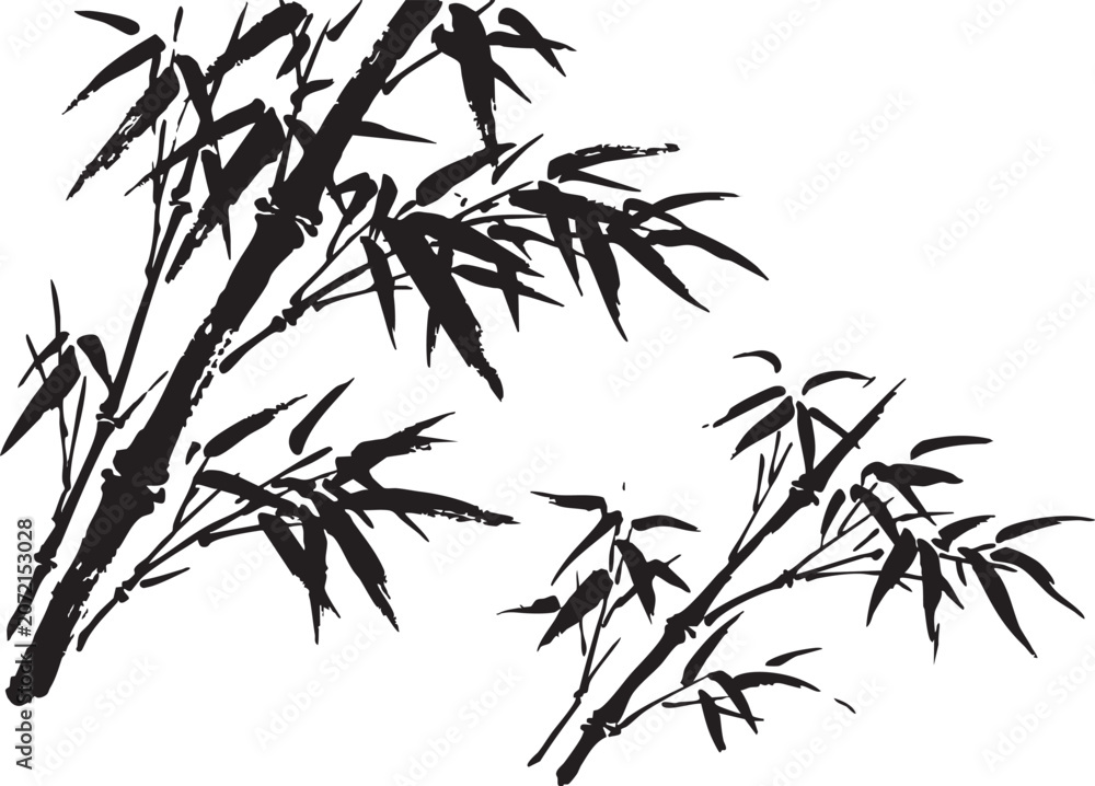 Fototapeta premium Black bamboo vector illustration with leaves and stems on white background for design and graphic elements