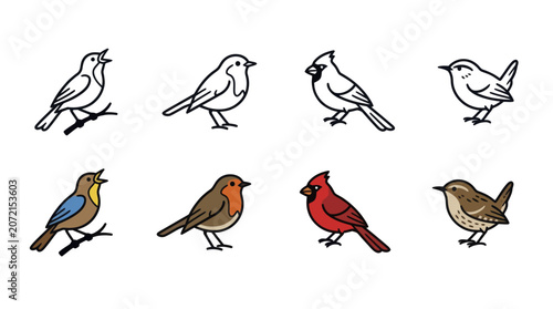 Bild auf Leinwand Collection of songbirds featuring various species including cardinal and robin i