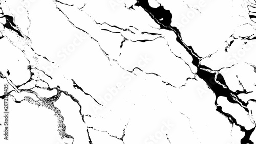 Black and White Abstract Ink Texture Background with Bold Organic Paint Shapes. Bold Black and White Liquid Ink Background with Organic Flowing Shapes.