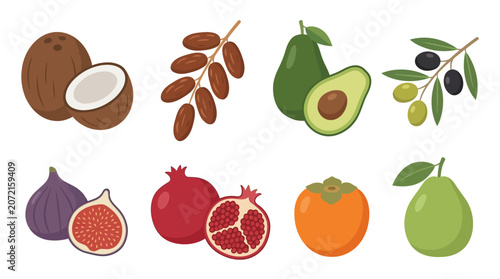 Set of various exotic fruits and healthy food items illustrated in cartoon style.