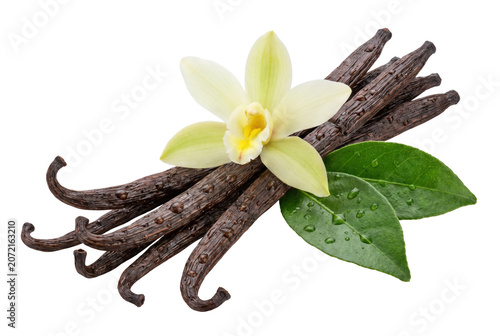 Tableau sur toile Vanilla Pods with Orchid Flower and Green Leaves