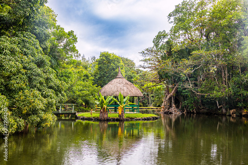 Fotografie Le Jardin botanique de Pamplemousse Sir Seewoosagur, Ile Maurice, Océan Indien,