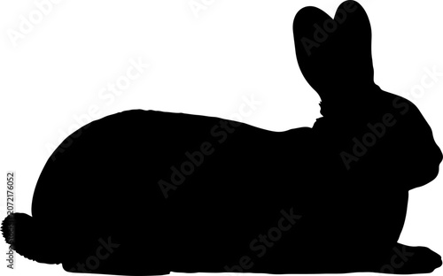 Silhouette of a rabbit in a profile view against a white background