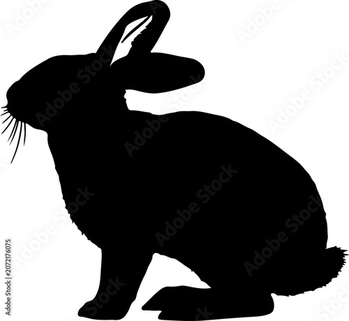 Black rabbit silhouette profile on white background isolated illustration icon vector