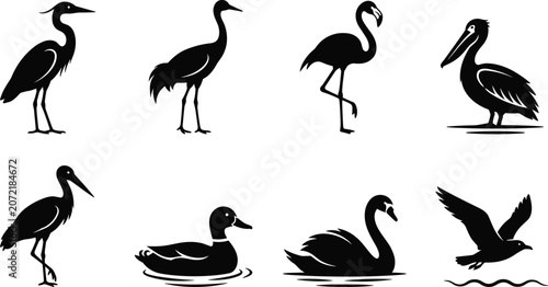 Foto Collection of water bird silhouettes featuring heron crane flamingo pelican stor