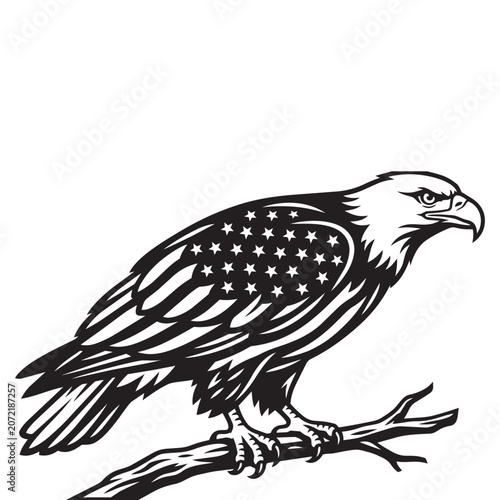 American bald eagle with stars and stripes pattern on feathers perched on oak branch vector design.