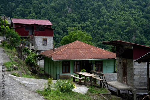 Φωτογραφία Traditional rural village houses with metal roofs on a steep green mountain slop