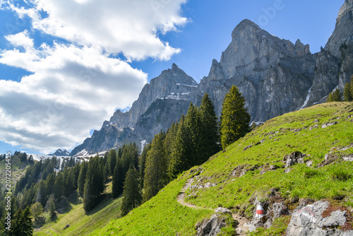 Dramatic limestone peak above spruce forest slope