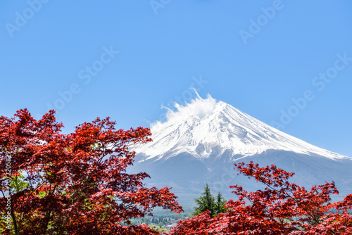 Snow-capped Mount Fuji framed by red maple leaves