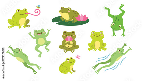 Foto Cute cartoon green frog character set jumping swimming catching insect and sitti