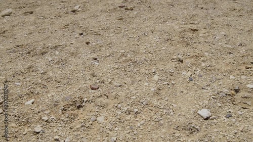 Slow motion 4K footage of a rocky desert surface in Egypt, featuring scattered stones, gravel, and natural sandy texture under bright sunlight.