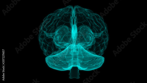 Fotografía Digital brain structure line hologram science scan creativity virtual