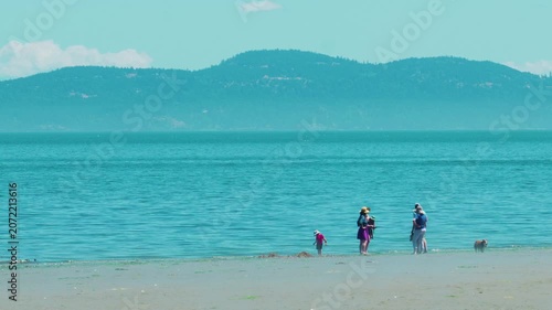 Family with dog wading on sandy beach at provincial park, copy space