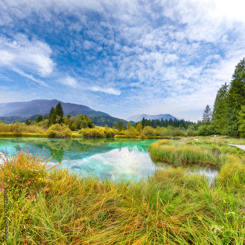 Gorgeous summer view on Zelenci lake with beautiful reflections in water.