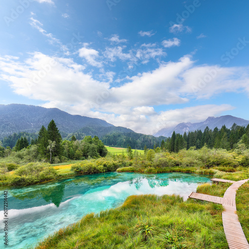 Gorgeous summer view on Zelenci lake with beautiful reflections in water.