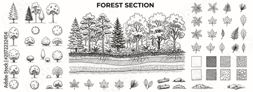 Bild auf Leinwand Natural forest ground cross section with soil layers, rocks and fractured earth