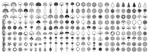 Canvastavla Landscape architecture tree collection with side view line drawings, CAD plannin
