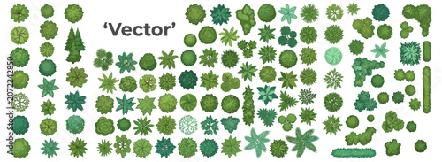 Aerial tree canopy set with assorted green foliage styles and top view botanical forms for garden layouts, landscape plans and architectural design