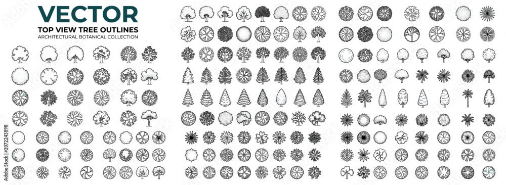 Obraz premium Top view tree outline collection with diverse botanical silhouettes, aerial foliage and plant symbols for architectural plans, landscape maps, garden layouts and site design