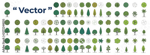 Fotografie Architectural Tree Symbols Collection in Top and Front Views for Landscape Site