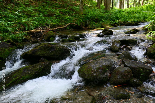 Wasserlauf des Wildwasserpfades in Mariensee, Wechselland, Bucklige Welt, Niederösterreich 