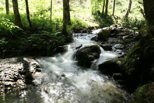 Wasserlauf, Wildes Wasser des Wildwasserpfad in Mariensee, Bucklige Welt, Wechselland, Niederösterreich 