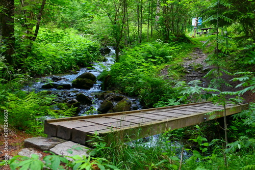 Steg am Wildwasserpfad, Mariensee, Wechselland, Niederösterreich 