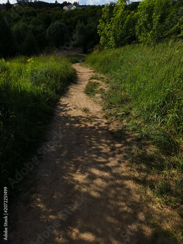 Foot path in the forest down from the mountain under blue sky among green grass. Way, travel exploration concept