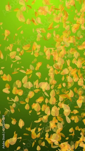Autumn leaf fall with yellow leaves