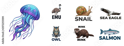 Foto Animal Vector Illustration Set with Typography Labels